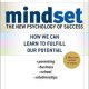 Mindset-The-New-Psychology-of-Success-by-Carol-S.-Deck (1)